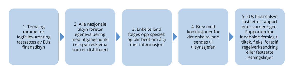 Figur 10.2 Fagfellevurdering