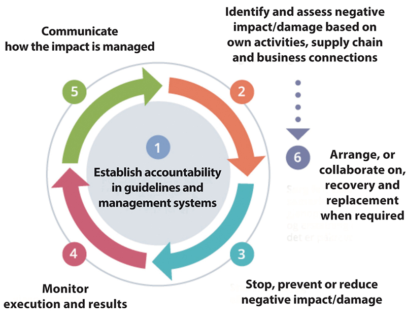 Figure 11.5 OECD’s Due Diligence Guidance for Responsible Business Conduct.