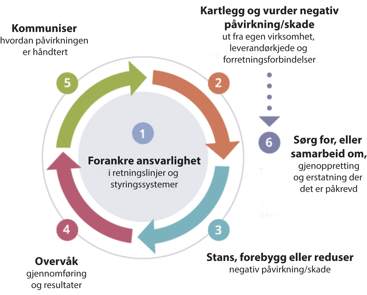 Figur 11.5 OECDs veileder for aktsomhetsvurderinger
.