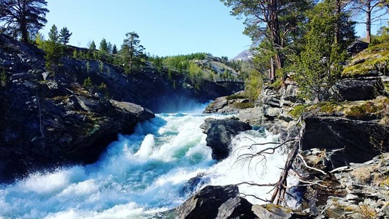 Med den brusende elva Tora som nærmeste nabo, ligger pensjonatet og kafeen som et eventyrlig pusterom langs veien. Innendørs kan du nyte hjemmelaget lokalmat, seterhistorie, gjestfrihet og tømmervegger med sjel.