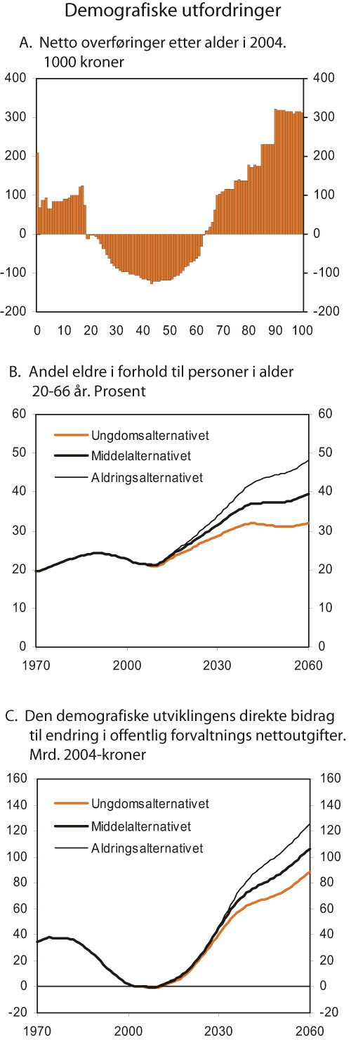 Figur 3.6 Demografiske utfordringer