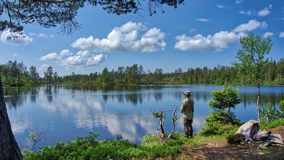 Fiske i Søndre Pene tjerna