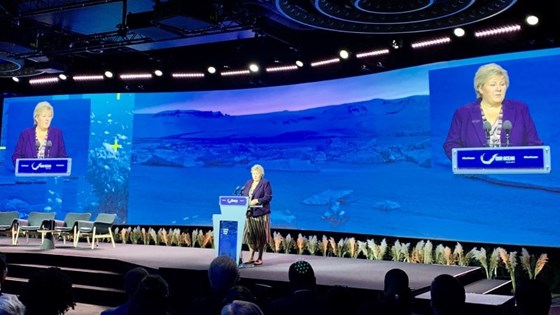 Prime Minister Erna Solberg at the Our Ocean-conference in Oslo.