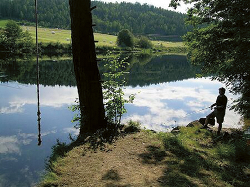 Figur 7.8 Kvikksølv finnes i ferskvann over hele landet