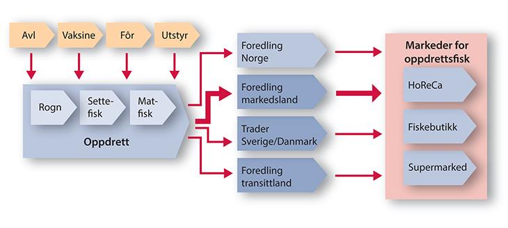 Figur 7.3 Generalisert verdikjede for oppdrett