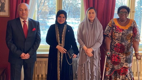 Bilde av fire ambassadører stående oppstilt