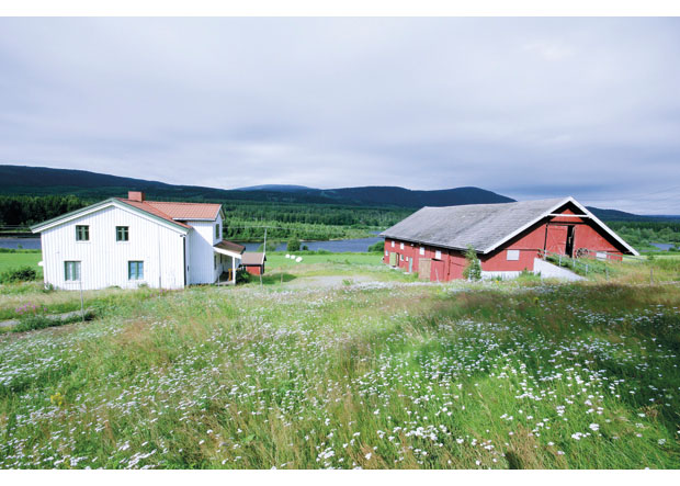 Figur 15.11 Vålstua gård ved Glomma.