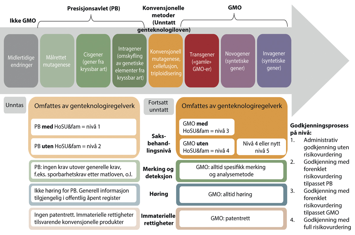 Figur 10.2 Oversikt over reguleringsnivå og vilkår for markedstilgang i flertallsmodellen som funksjon av type/presisjonsnivå for genetisk endring. I forhold til type/grad av/presisjonsnivå for genetisk endring, fordeles kategoriene PB og GMO på hver sin side a...
