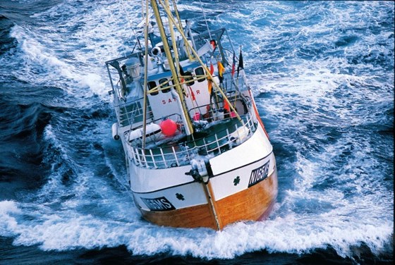 Fiskebåt i sjø