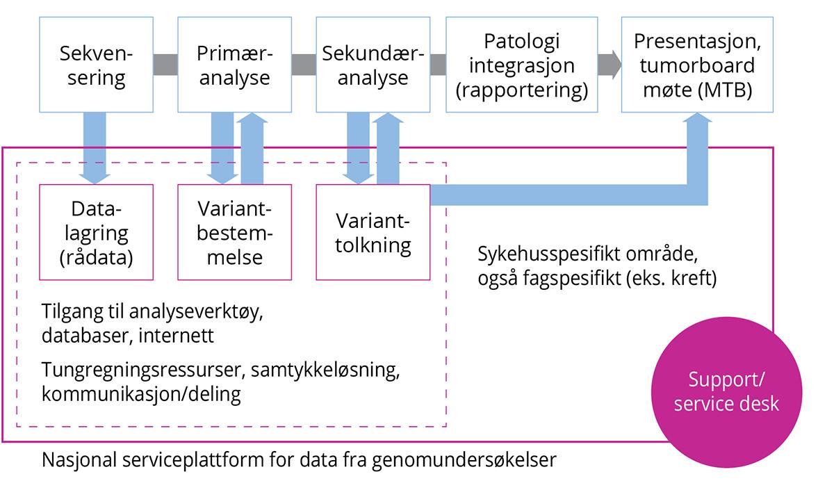 Konseptskisse laget for å illustrere mulig arbeidsflyt for genetiske analyser relatert til persontilpas-set kreftbehandling