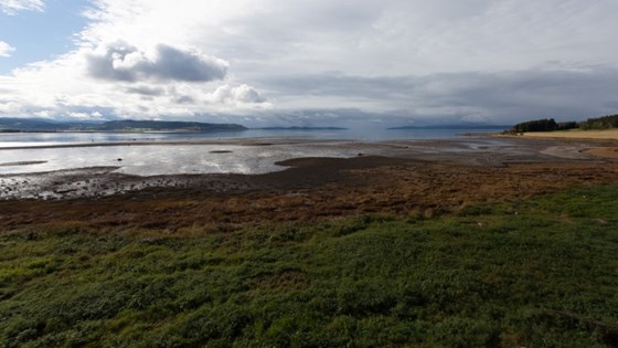 Frå Kausmofjæra fuglefredningsområde, som no blir slått saman med nye, utvida Ørin naturreservat.