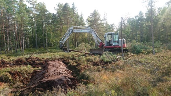 Gravemaskin på myr