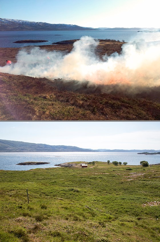 Lyngbrenning på Skjeinesset.