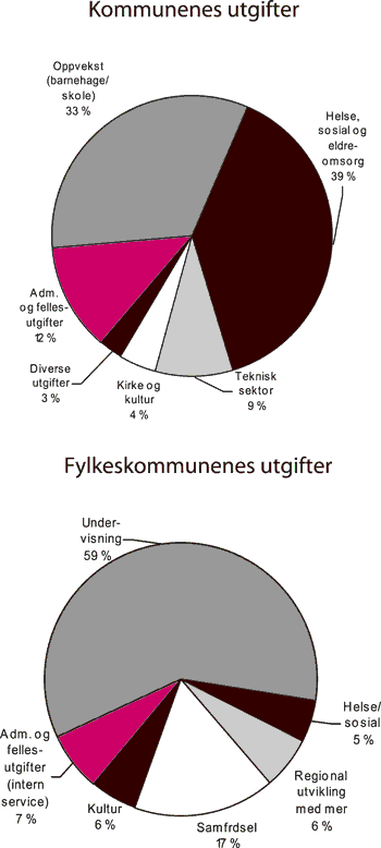 Figur 3.7 Sammensetningen av kommunesektorens utgifter. 20041