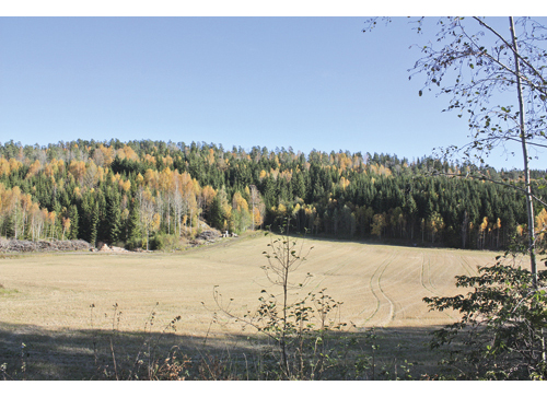 Figur 11.4 Mysen Nord