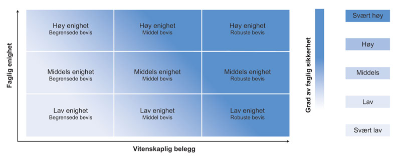 Figur 3.2 Illustrasjon av faglig enighet