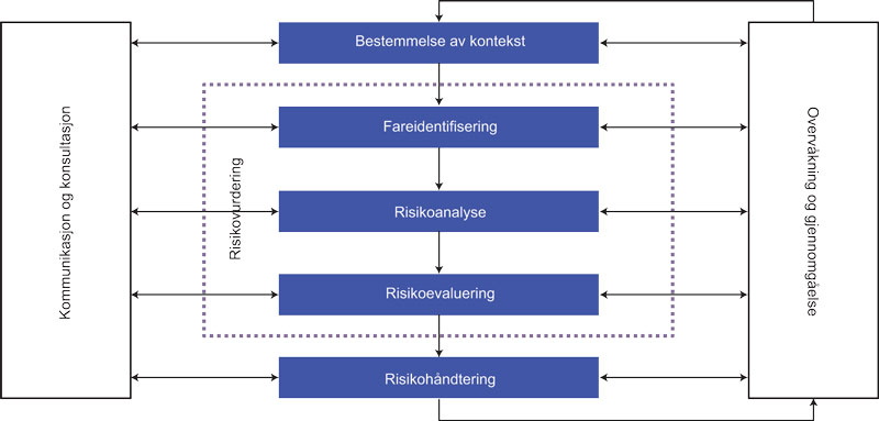 Figur 4.1 Elementene i et system for risikostyring
