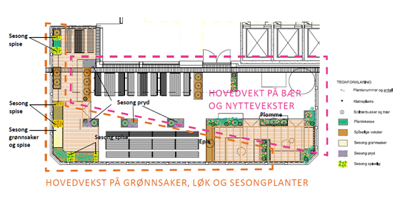 Grønnsaker, løkplanter og ymse sesongplanter er med i planane. Mykje av det som skal plantast, skal kunne etast.