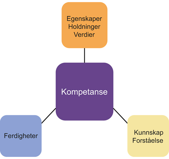 Figur 4.10 Kompetanse.