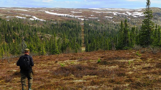 Grenseløst, gode naturopplevelser på begge sider av grensen.