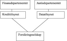 Figur 4.3 Offentlig tilsyn m.m. av den private yrkesskadeforsikringen