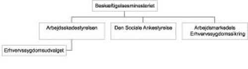 Figur 5.1 Organisering av yrkesskadeområdet