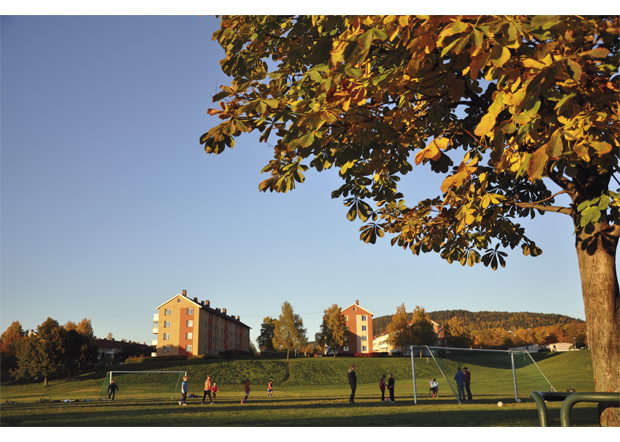 Figur 10.6 Fotballtrening i Muselunden, Oslo. Jo flere som bor i byer, desto viktigere blir grøntområdene.
