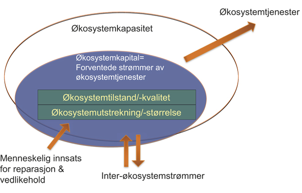 Figur 11.4 Økosystemkapasitet, -kvalitet og -størrelse.