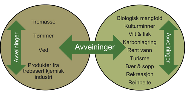 Figur 2.2 Oversikt over avveininger innenfor og mellom produserende tjenester og andre tjenester og goder fra skog.