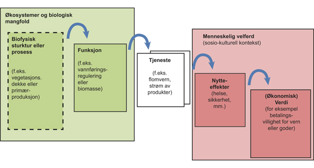 Figur 2.9 TEEB-prosjektets konseptuelle rammeverk.