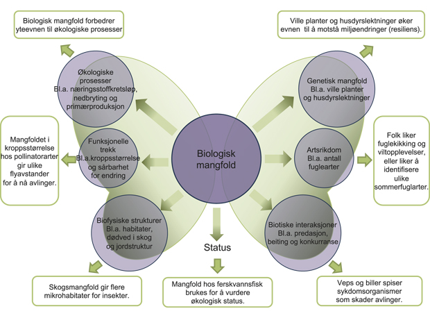 Figur 4.1 Biologisk mangfold, økosystemfunksjoner og økosystemtjenester.