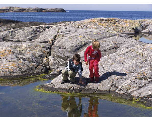 Figur 4.13 Mangfoldig natur i kystsonen – barn studerer livet i fjæra.