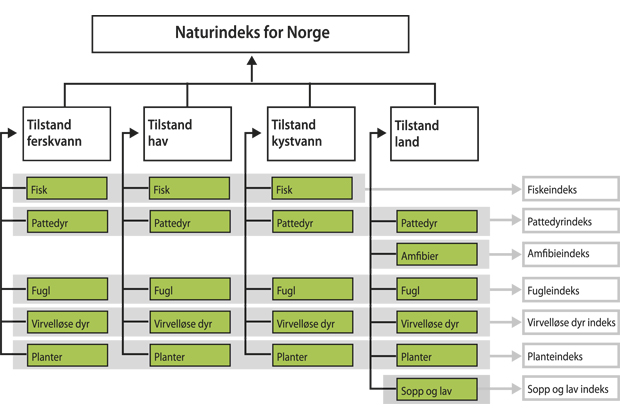 Figur 4.6 Naturindeksen – indikatorer fordelt på hovedøkosystem – et rammeverk for økologisk verdsetting.