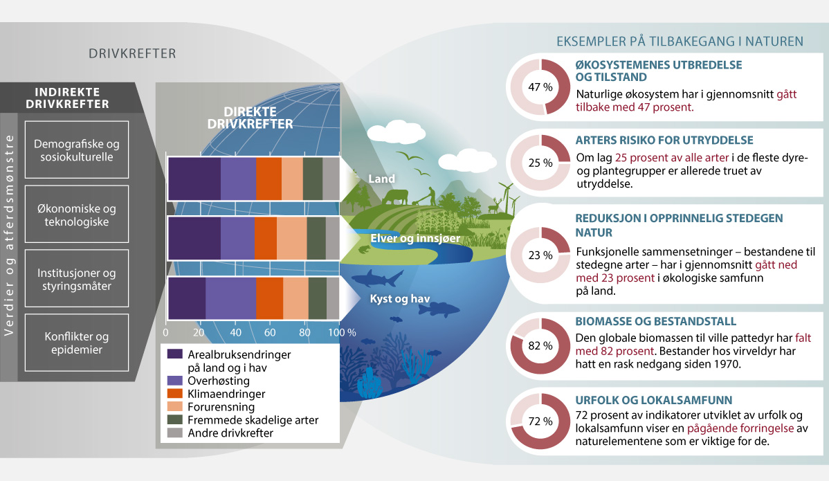 Figur 2.1 Eksempler på globale forandringer i naturen