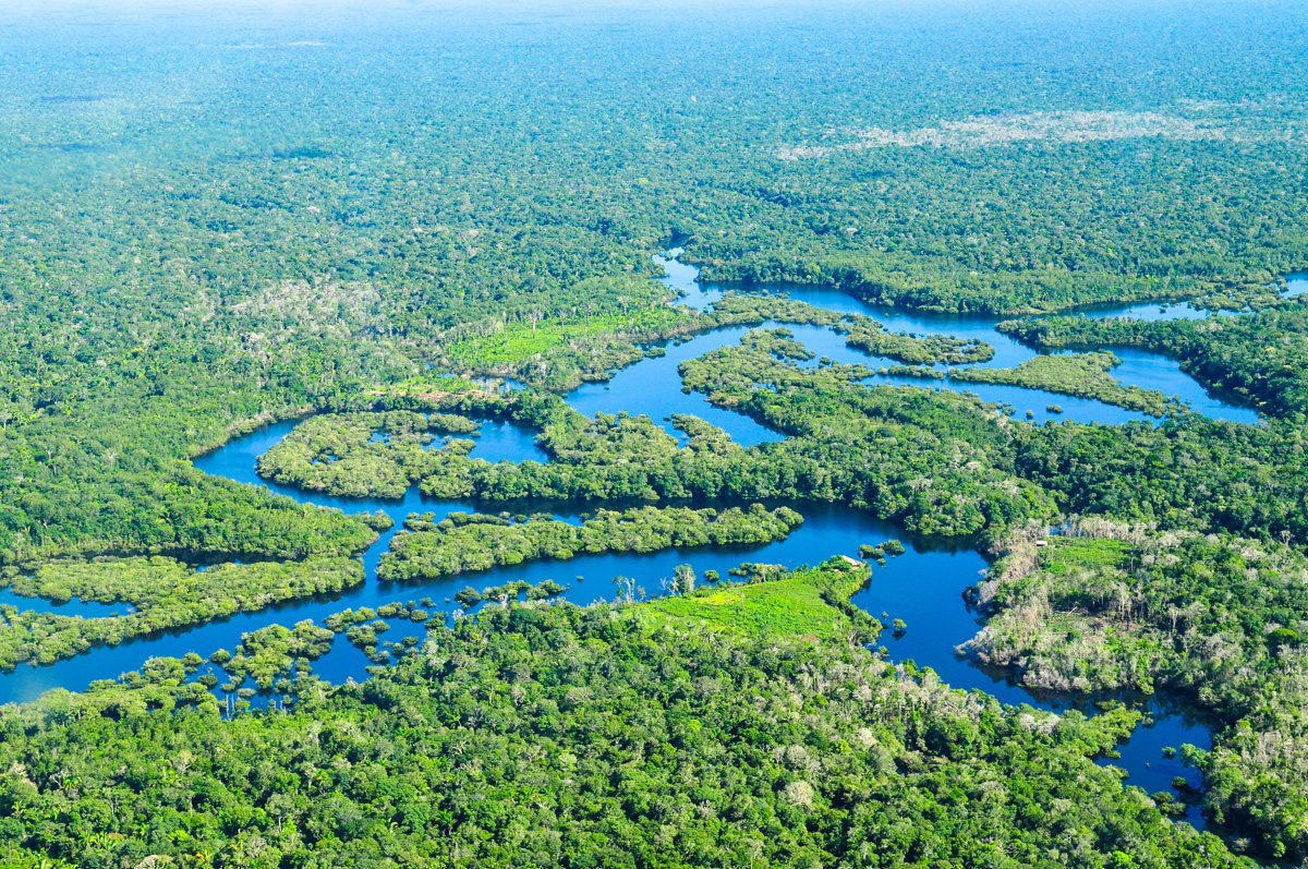 Figur 4.6 Amazonas-regnskogen nær Manaus i Brasil