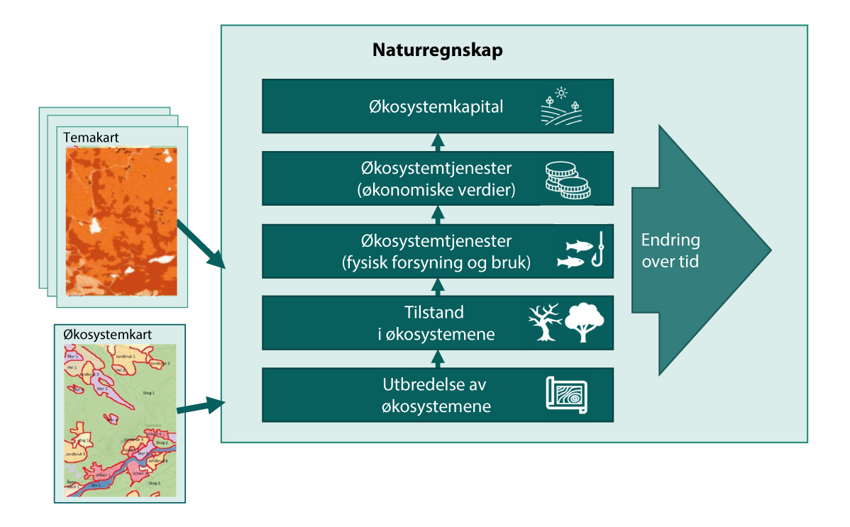 Figur 5.2 Elementene i FNs naturregnskap