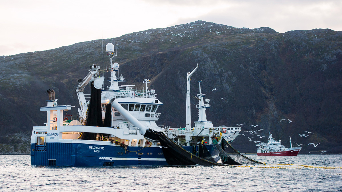 Figur 6.18 Fiskerier langs kysten av Troms