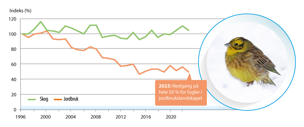 Figur 6.19 Bestandsutvikling for hekkefugl i skog og jordbrukslandskap