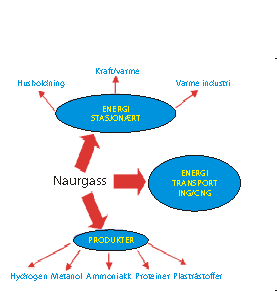 Figur 2.3 Naturgassanvendelser
