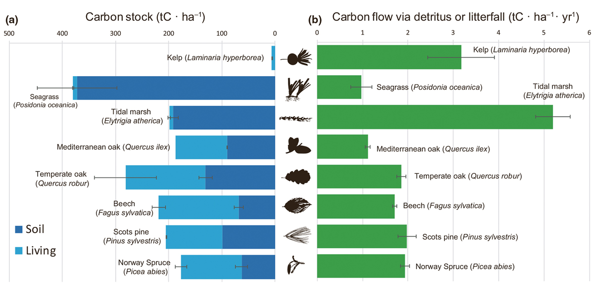 Figure 2.13 Per area carbon standing stock and carbon flux via detritus for dominant habitat-forming primary producers in Europe. The carbon stock contained within each habitat is partitioned into the amount stored in soils (dark blue bars) and in living plant t...