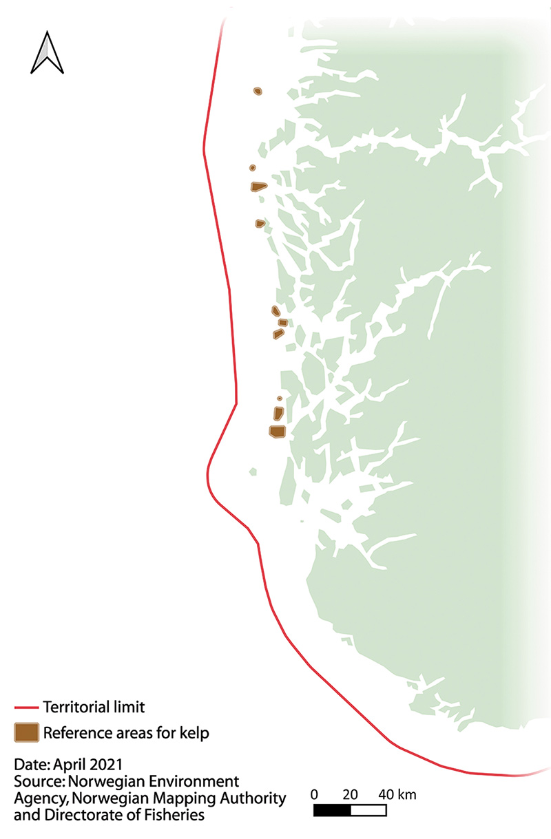 Figure 4.7 Reference areas for kelp.