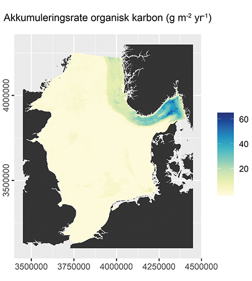 Figur 2.12 Estimert akkumulering per år av organisk karbon på havbotnen i Nordsjøen og Skagerrak. Akkumuleringa er høgast i Norskerenna, men det er uvisse i dei modellerte tala for mengda karbon som blir avsette på havbotnen.