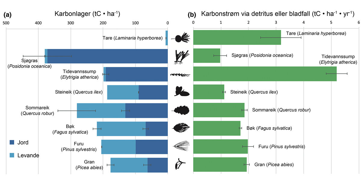 Figur 2.13 Ståande karbonlager per areal og karbonstraum via detritus (nedbrote organisk materiale) for dominerande habitatdannande primærprodusentar i sjø og på land i Europa. Karbonlageret i kvart habitat er delt inn i mengd lagra i jord (mørkeblå søyler) og ...