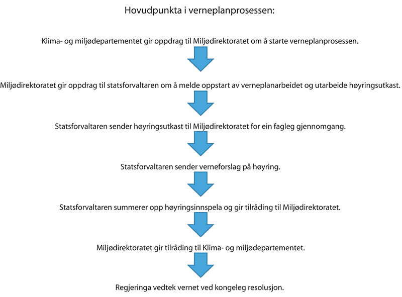 Figur 3.1 Hovudpunkta i verneplanprosessen.
