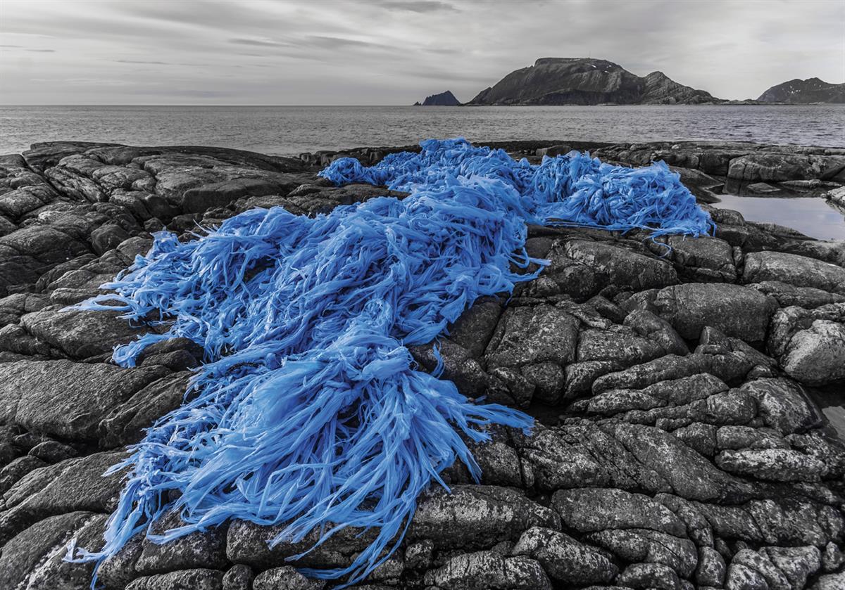 Foto av pakkeplast frå industrifiskefartøy i naturen. Foto: Bo Eide