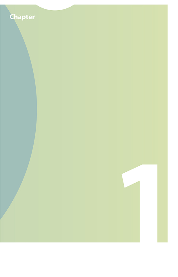 Figure 1.1
