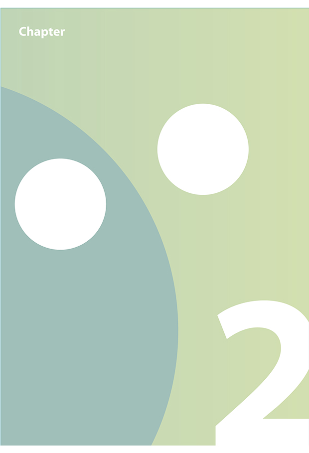 Figure 2.1