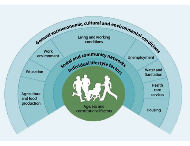 Figure 4.1 Determinants of health1
