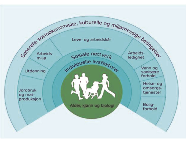 Figur 3.2 Påvirkningsfaktorer for helse1
