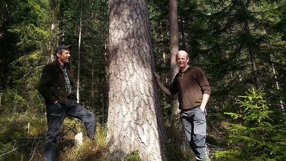 Skogbrukssjef Lars Johan Skjeggedal og faghjelp Kjell Arne Rosseland ønsker velkommen til fagsamling i Evje og Hornnes kommune. 